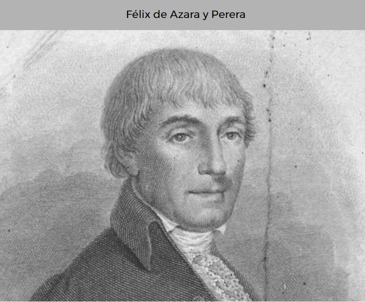 Imagen: Retrato de Félix de Azara.
